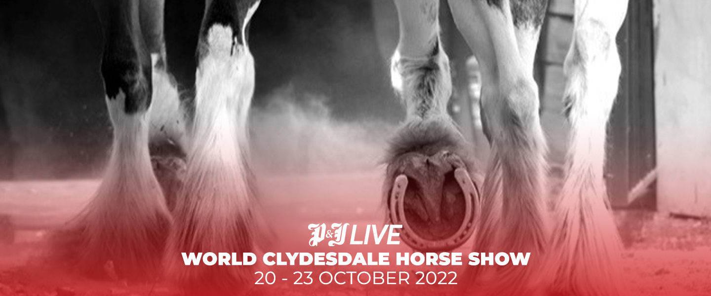 CLYDESDALE HORSE SHOW