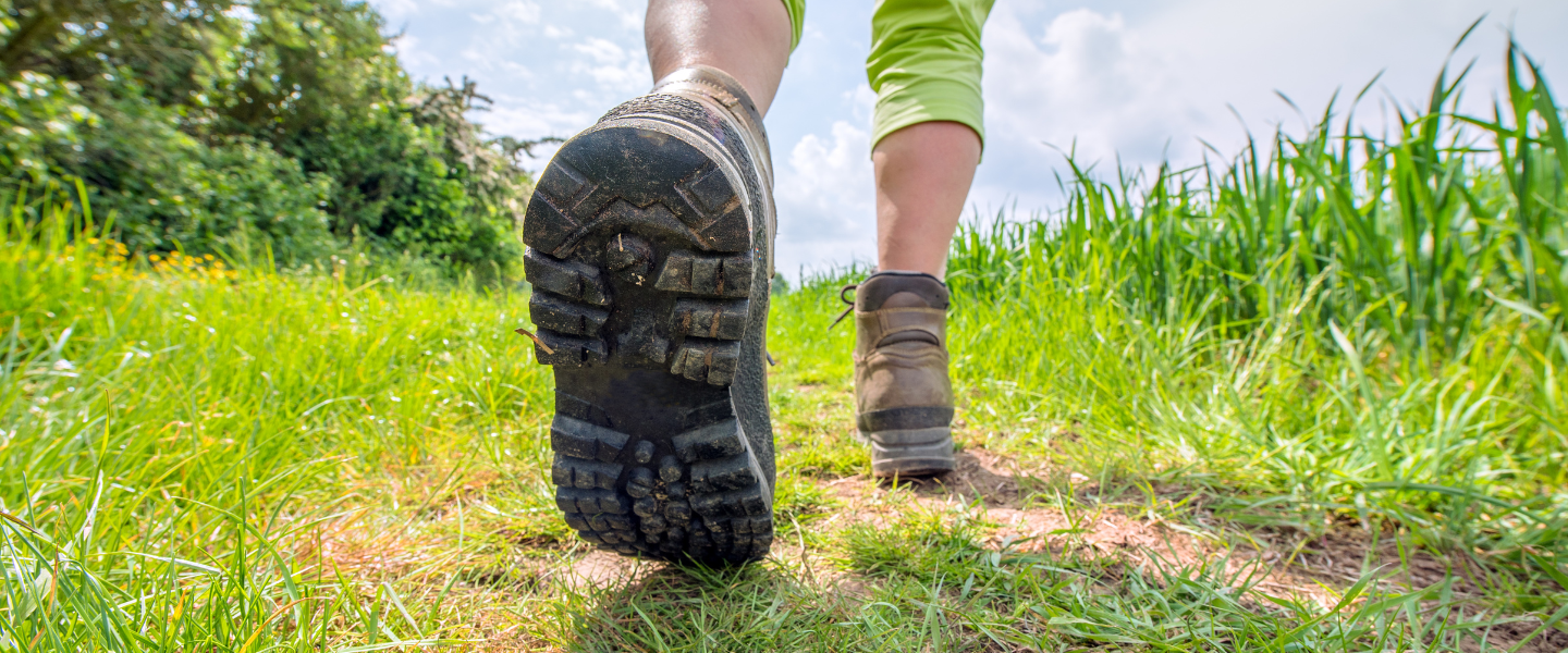 Walking & Running Routes at P&J Live