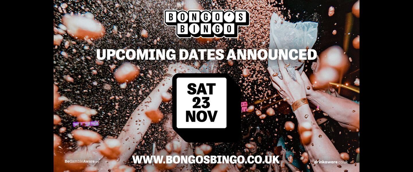 Bongo's Bingo November 2024