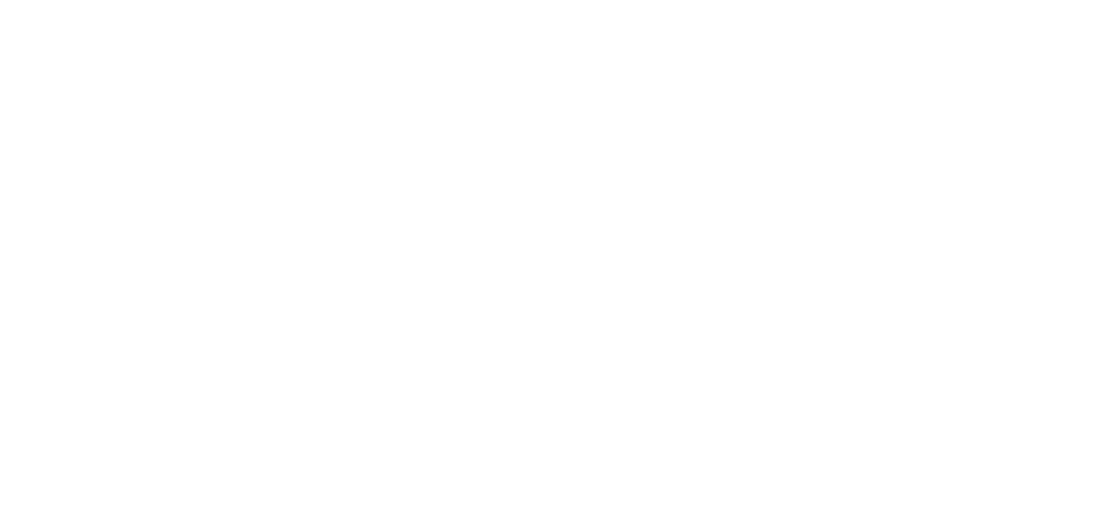 FUNKIN logo WHITE cropped
